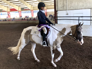 Young girl on horse 