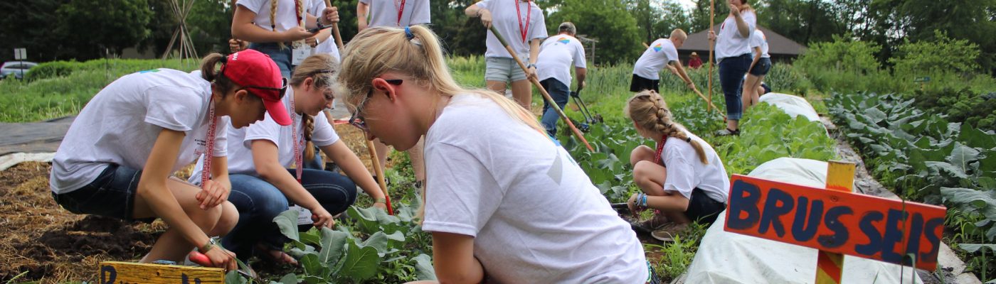 4H members working in a garden.