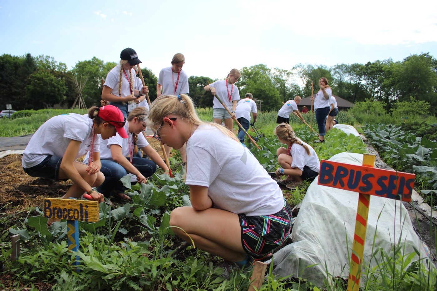 4H members working in a garden.