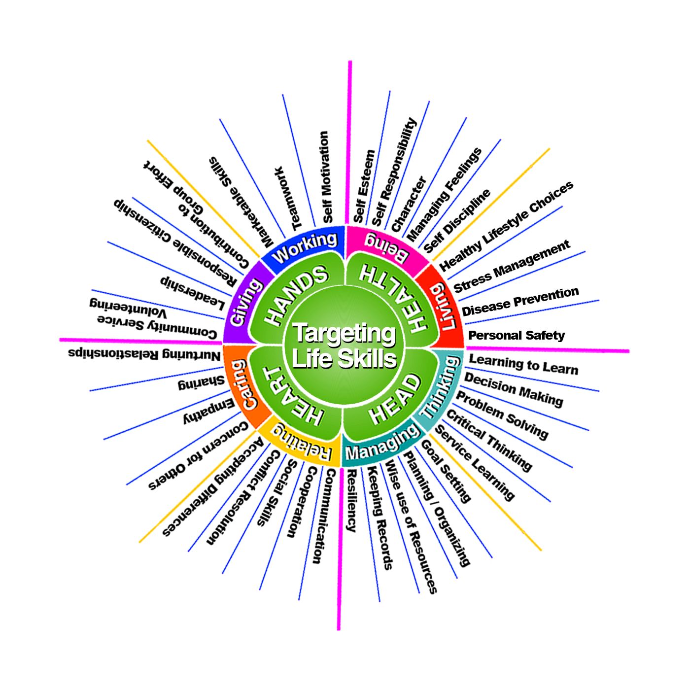 What Are The Three Components Of Life Skills