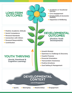 4-H Thriving Model