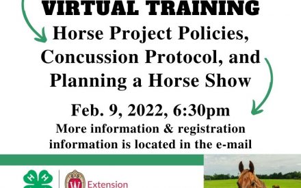 WI State 4-H Horse Virtual Training: Horse Project Policies, Concussion Protocol, and Planning a Horse Show