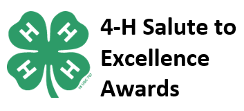 Salute to Excellence – Nominate a Volunteer
