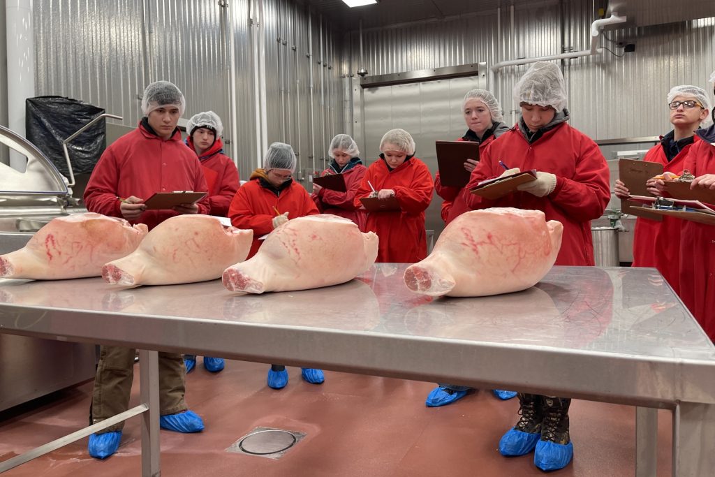 youth judging meat carcasses