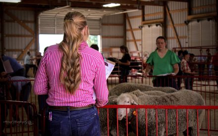 2023 State Judging Contests Comes to an End