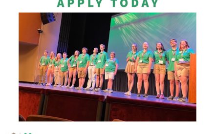 Wisconsin 4-H Leadership Council – Applications Now Being Accepted!