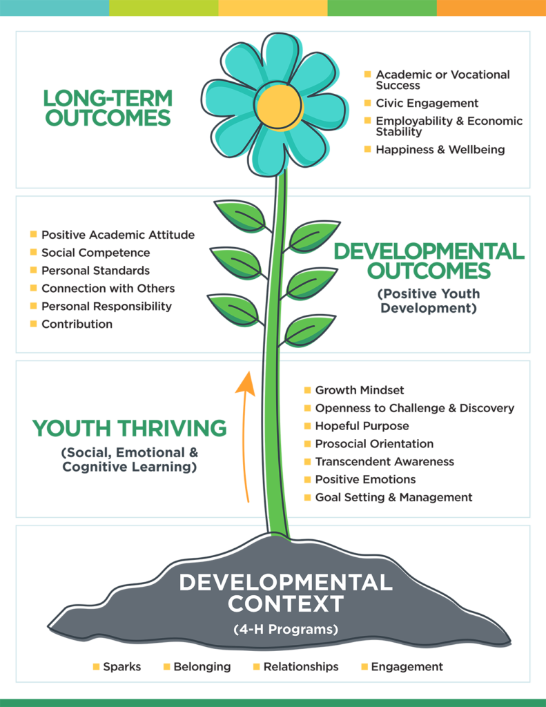 Full 4-H thriving model - image of a flower growing from the soil - that includes developmental context, youth thriving, developmental outcomes, and long-term outcomes.