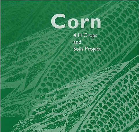 4-H Crops & Soils Project: Corn