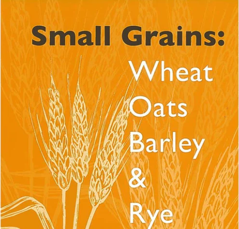 4-H Crops & Soils Project: Small Grains - Wheat, Oats, Barley, and Rye