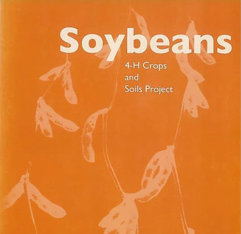 4-H Crops & Soils Project: Soybeans