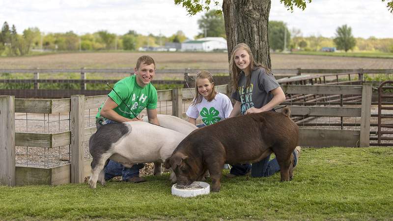 Three young people posing with their pigs