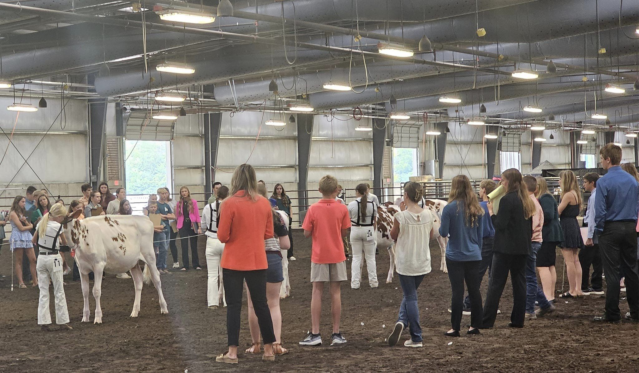 State dairy judging