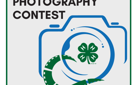 Wisconsin 4-H Foundation Kicks off Photography Contest