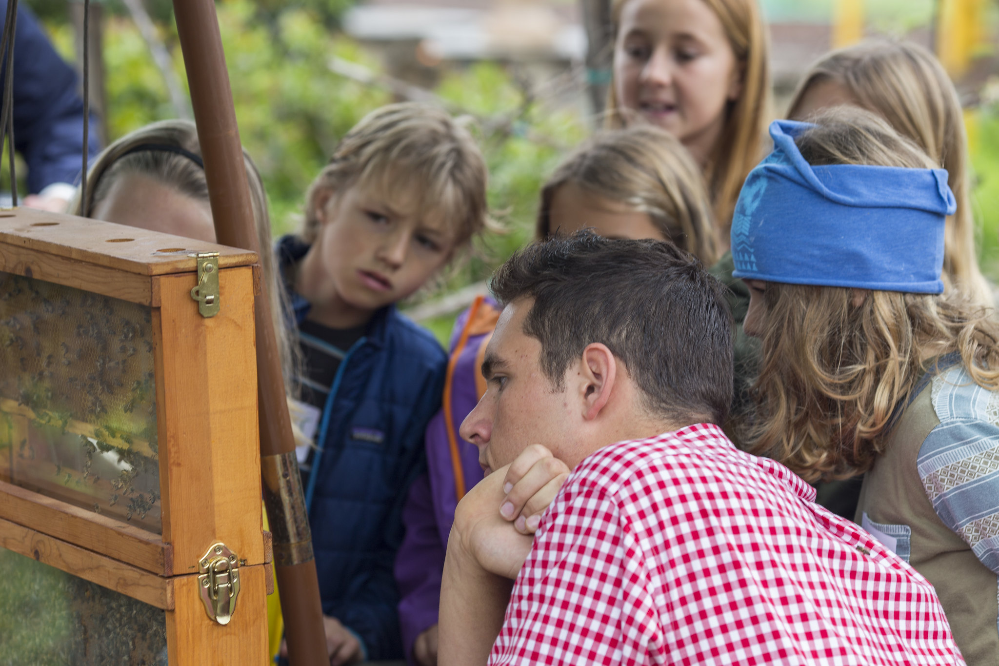 Teen shows beehive to younger children