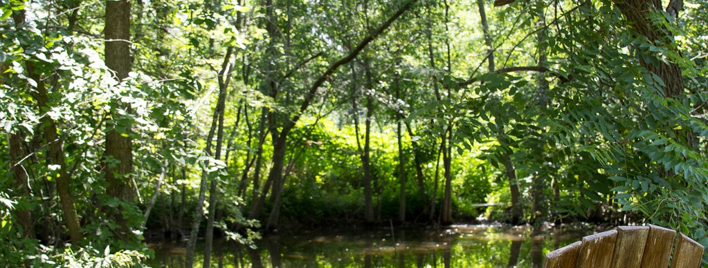 Wisconsin water and woods habitat