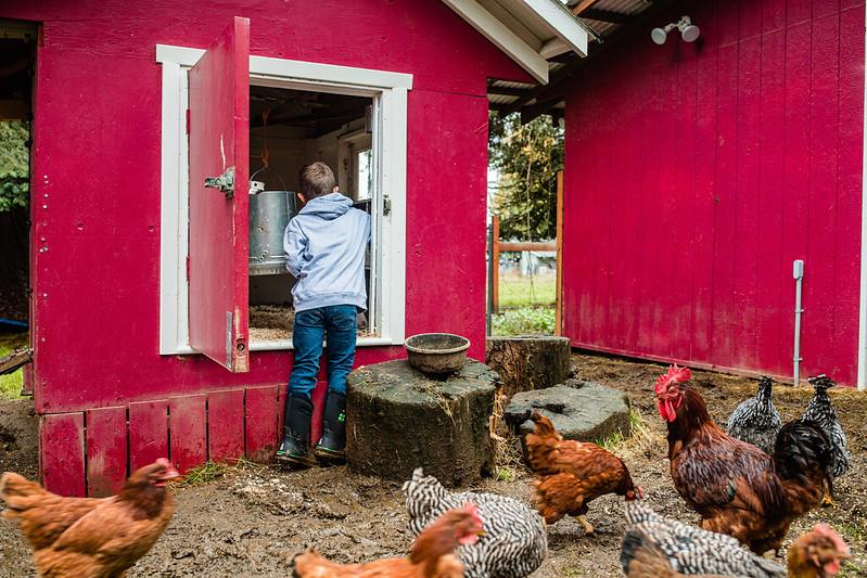 Youth with his chickens