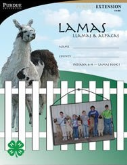 Lamas: Llamas & Alpacas curriculum cover
