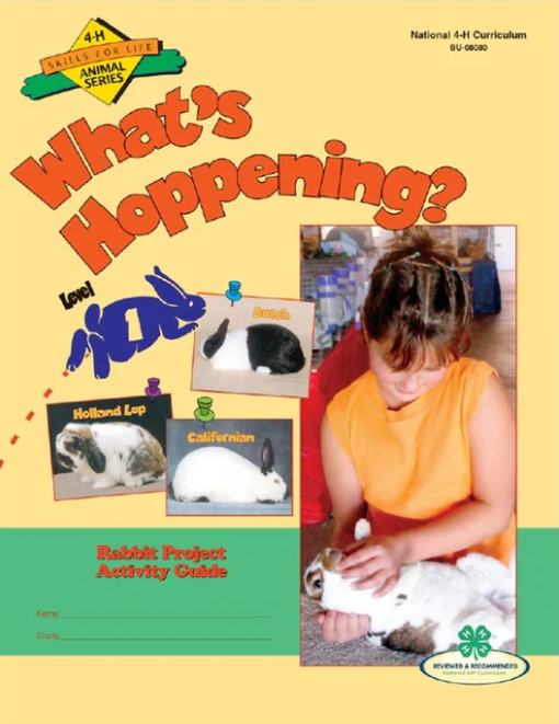 Rabbit curriculum cover