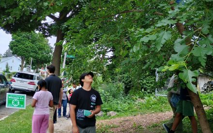 4-H Grows in Milwaukee through Gardening!