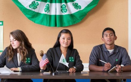 Wisconsin 4-H Announces Applications for $20,000 in College Scholarships Open Jan. 1