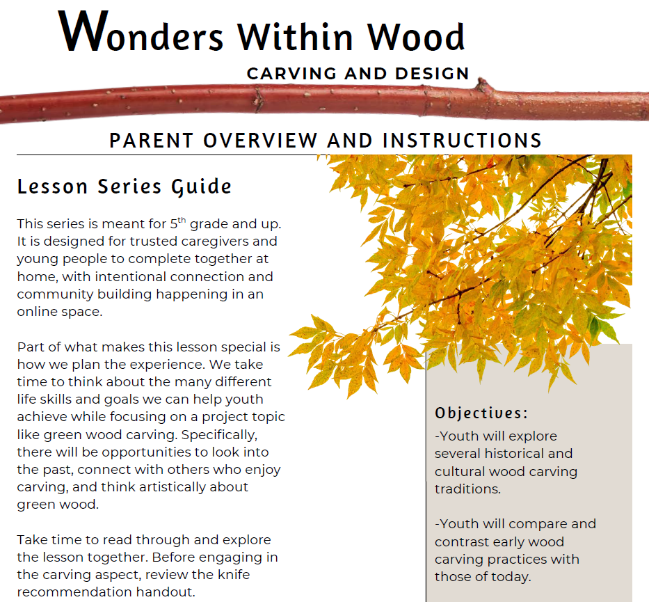 Wonders Within Wood curriculum cover.