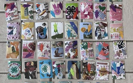 4-H’er Supports Local Famers with Collage Workshop