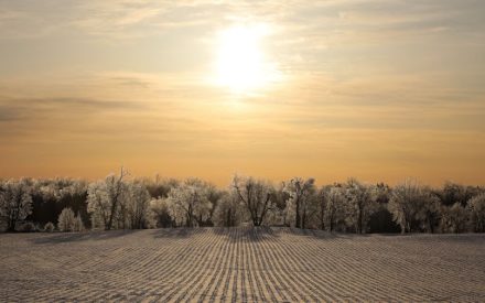 2026 WI State 4-H Photography Contest Winners